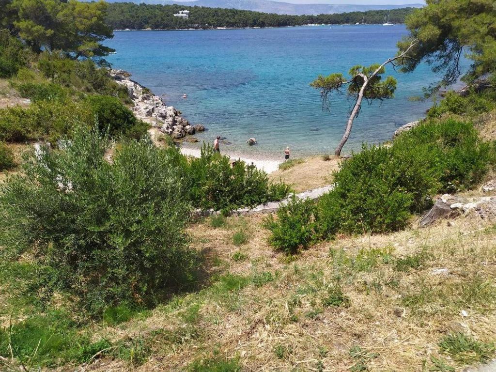 Lazaneo Seafront Apartments, Jelsa Hvar *